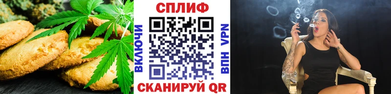 Cannafood конопля  Сольвычегодск 
