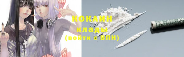 спайс Алексин
