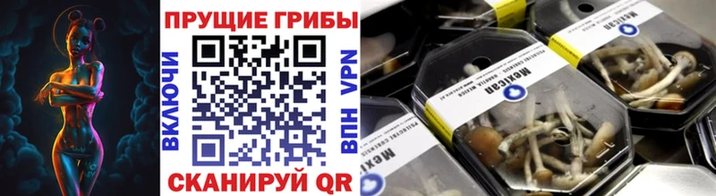дарнет шоп блэк спрут зеркало Галлюциногенные грибы ЛСД Сольвычегодск